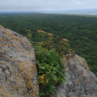 Фото отзыва 3: экскурсия ""