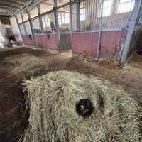 Фото отзыва 6: экскурсия "Из&nbsp;Калининграда&nbsp;— по&nbsp;маршруту королевы Луизы: Черняховск, Советск и&nbsp;Неман"