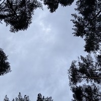 Фото отзыва 1: экскурсия ""