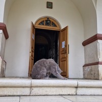 Фото отзыва 8: экскурсия ""