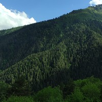 Фото отзыва 7: экскурсия ""