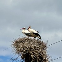 Фото отзыва 1: экскурсия ""