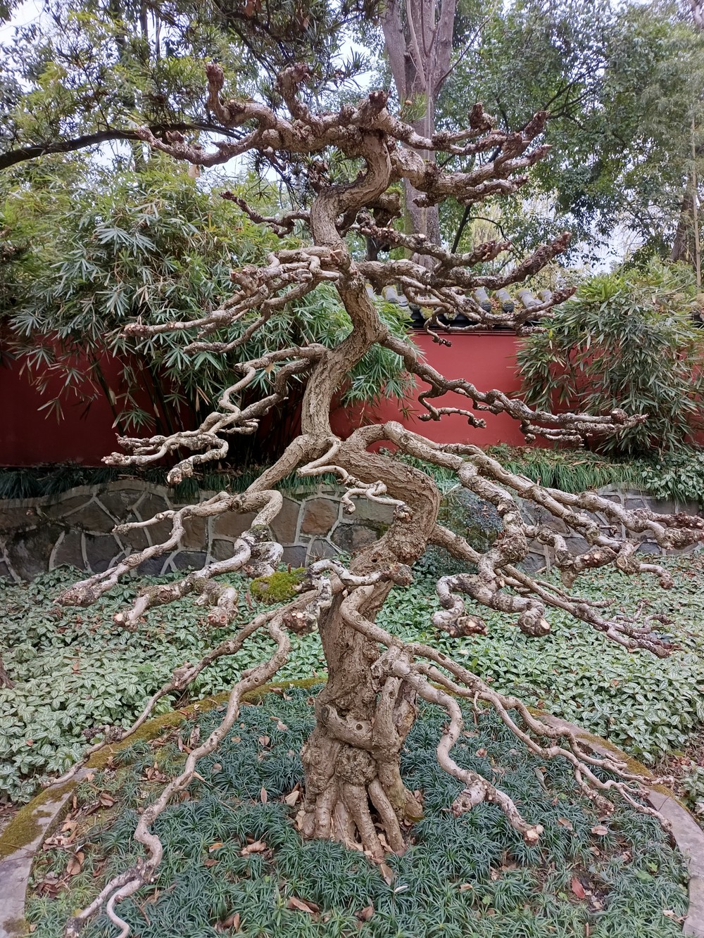 Фото 3