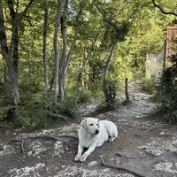 Фото отзыва 8: экскурсия ""