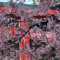 Фото отзыва 7: экскурсия ""