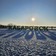 Фото отзыва 1: экскурсия "Дома и судьбы главной улицы Хабаровска"