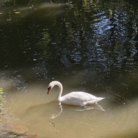 Фото отзыва 1: экскурсия ""