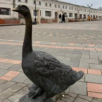 Фото отзыва 4: экскурсия ""