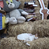 Фото отзыва 3: экскурсия "Один день в&nbsp;Шэньчжэне: от&nbsp;древних ворот до&nbsp;небесных вершин"