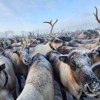 Фото отзыва 7: экскурсия ""