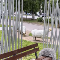 Фото отзыва 6: экскурсия "Город + горы. Обзорная экскурсия по Горно-Алтайску"