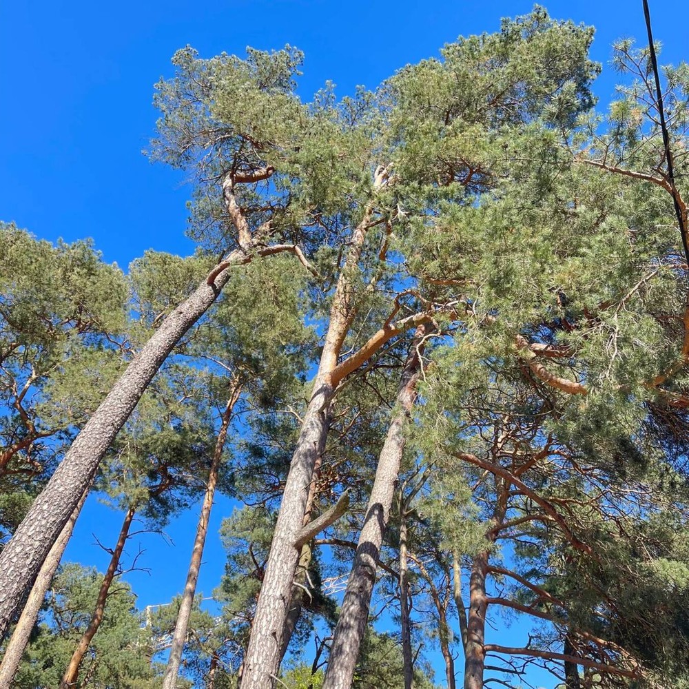 Фото 4