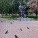 Фото отзыва 4: экскурсия "Пензенское узорочье"