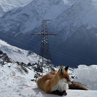 Фото отзыва 7: экскурсия ""