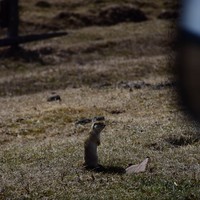 Фото отзыва 3: экскурсия "Из Иркутска в Аршан: горы, водопады и целебные источники"