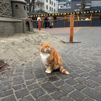 Фото отзыва 5: экскурсия ""