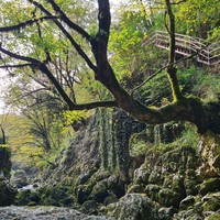 Фото отзыва 7: экскурсия ""