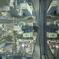 Фото отзыва 7: экскурсия "Контрасты Шэньчжэня: история и инновации"