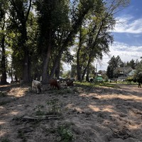 Фото отзыва 8: экскурсия ""