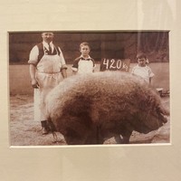 Фотография путешественника