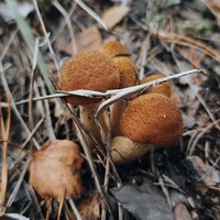 Фото отзыва 5: экскурсия ""