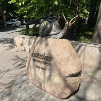 Фотография путешественника