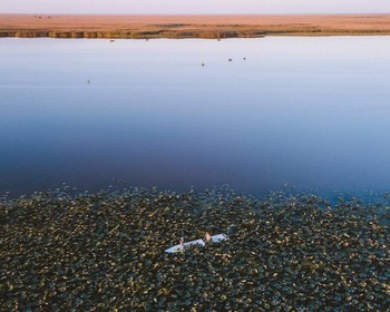 Фото отзыва 1: авторский тур "Летний закат в оттенках розового: водная прогулка к цветущим лотосам в дельте Волги"