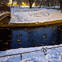Фото отзыва 1: экскурсия ""