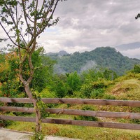 Фото отзыва 3: экскурсия ""