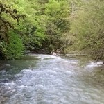 Хрисанф
