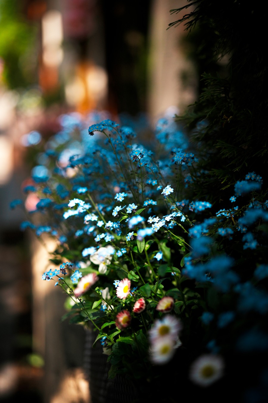 Фото 8