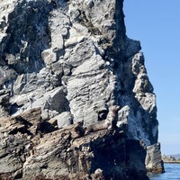 Фото отзыва 3: экскурсия ""