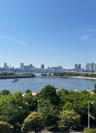 Фото отзыва 4: экскурсия "Обзорная экскурсия по знаковым местам яркого Токио"