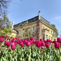 Фото отзыва 3: экскурсия "Групповая прогулка по Софии с аудиогидами"