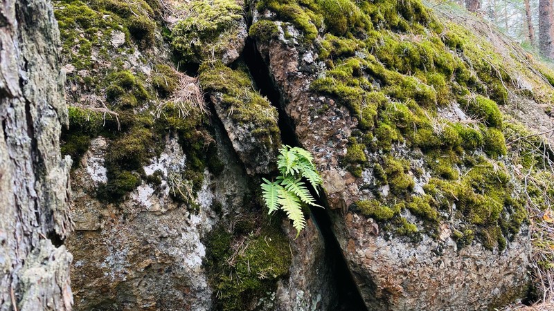 Фото 4