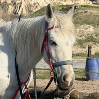 Фото отзыва 1: экскурсия ""