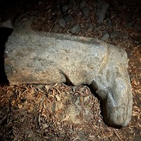Фото отзыва 3: экскурсия ""