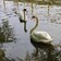 Фото отзыва 4: экскурсия "Балтийская сказка: Куршская коса, Зеленоградск и рыцарские замки"
