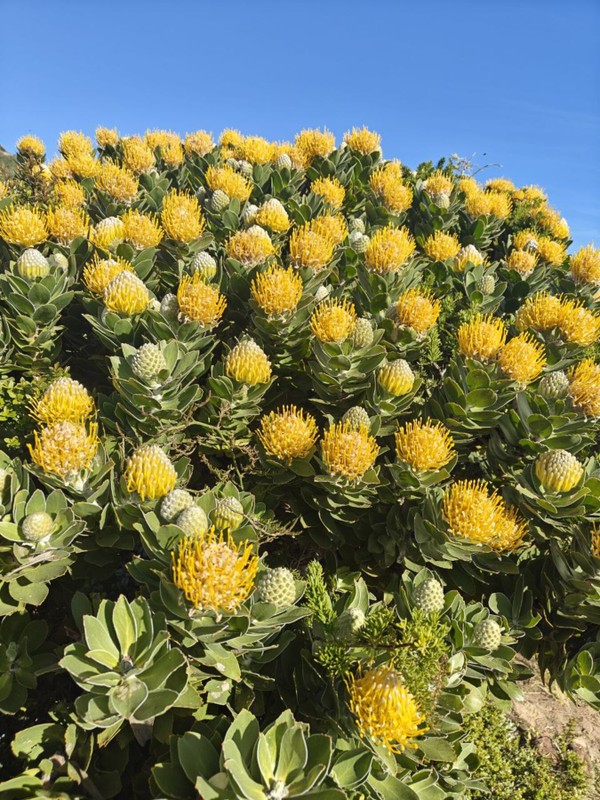 Фото 6