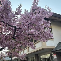 Фото отзыва 8: экскурсия ""
