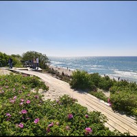 Фото отзыва 2: экскурсия "Куршская коса: море, дюны и птичьи голоса"