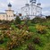 Фото отзыва 5: экскурсия "Добро пожаловать в Великий Новгород — из Петербурга"