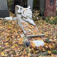 Фото отзыва 7: экскурсия ""