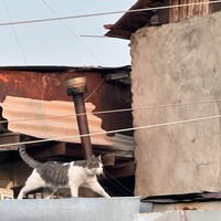 Фото отзыва 6: экскурсия ""