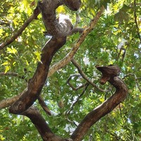 Фото отзыва 3: экскурсия ""