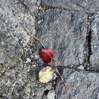 Фото отзыва 1: экскурсия ""