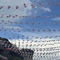 Фото отзыва 2: экскурсия "Кахетия — родина вина, чачи и красоты!"