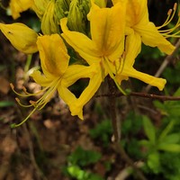 Фото отзыва 3: экскурсия ""