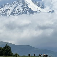 Фото отзыва 5: экскурсия "Грани Кавказа: 5&nbsp;республик за&nbsp;10&nbsp;дней"