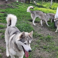 Фото отзыва 3: экскурсия ""